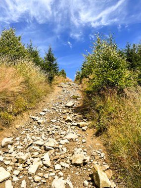 Beskid Slaski dağlarındaki Rocky dağ yolu.,