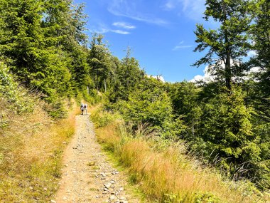 Beskid Slaski dağlarındaki Rocky dağ yolu.,