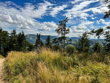 Skrzyczne - Polonya 'nın Batı Karpatlar bölgesindeki Beskid Slaski dağ grubunun en yüksek zirvesi. Polonya Dağları Tacı 'na ait. Klimczok tarafından görüntüle.
