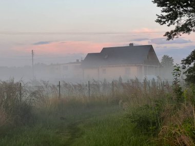 Kırsal alan. Etrafı çayırlarla ve çalılarla çevrili ahşap bir ahşap ev sisle kaplanmış..