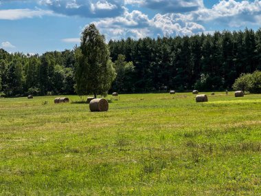 Kurulandıktan sonra saman yuvarlandı ve çayıra bırakıldı.