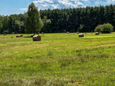 Kurulandıktan sonra saman yuvarlandı ve çayıra bırakıldı.