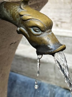 St. Peter Bazilikası 'ndaki çeşmeden gelen dekoratif su kaynakları içme suyu kaynağıdır..