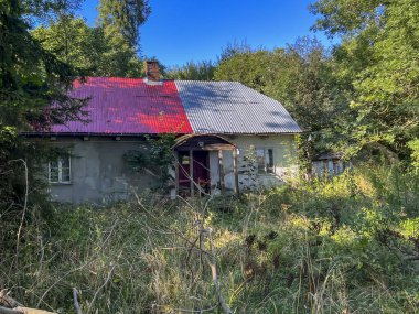 Eski terk edilmiş iki aile evi yabani otlar ve çalılarla kaplı, Stefankowice, Lublin Voyvoda, Polonya.