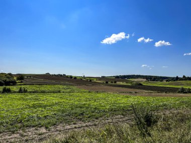 Güzel, güneşli bir havada tarlada kirli bir yol..