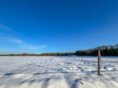 Taze kar tarlaları ve çayırlarda kaplanır, beyaz bir örtü oluşturur..