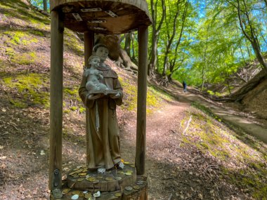 Polonya 'nın Jastrzebia Gora kentindeki St. Anthony Kilisesi Lisi Jar' da (Fox Ravine).