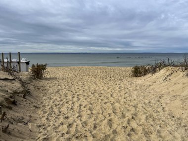 Mayıs ayı başlarında Polonya 'daki Puck Bay' de Hel 'de bir plaj..