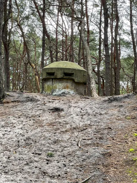 stock image Old military infrastructure, bunker in the forest on the Hel Peninsula in Poland.