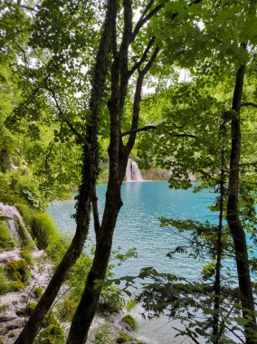 Hırvatistan 'ın Plitvice Gölleri' nin büyüleyici manzarası: Kristal berraklığında su.