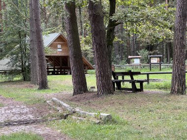 Polonya 'nın Lubliniec bölgesindeki Krywald' da ilkbaharda bir turizm sığınağı.