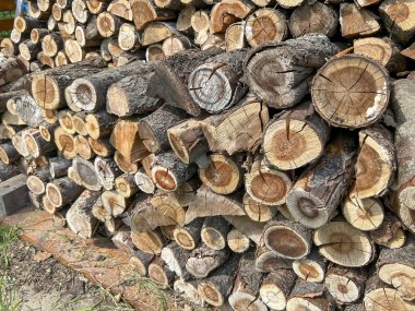 Vişne ağacı kesilmiş, düzenlenmiş, kurutulmuş, şömine için odun olarak hazırlanmış. Arkaplan.
