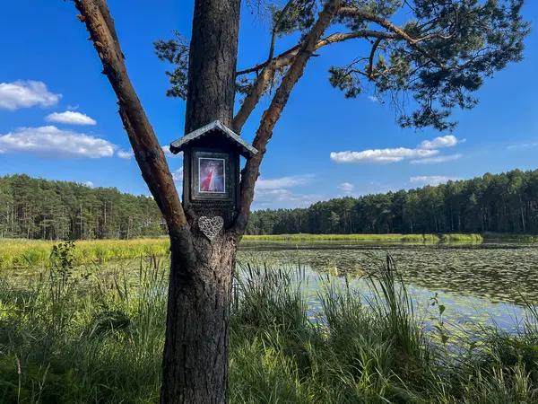 stock image A modest chapel with a picture of Merciful Jesus on a tree in the forest by a pond in Kalety, Poland.