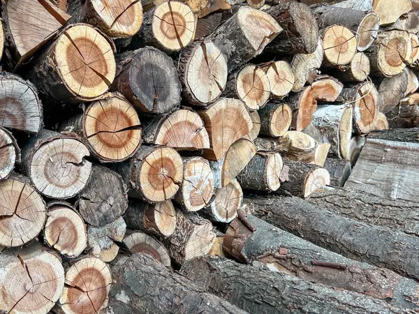 Vişne ağacı kesilmiş, düzenlenmiş, kurutulmuş, şömine için odun olarak hazırlanmış. Arkaplan.