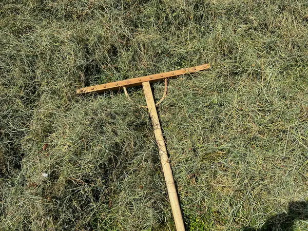 stock image Hand-made rakes good for raking and turning over grass when drying hay in a small meadow.