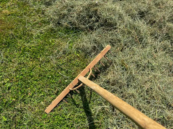 stock image Hand-made rakes good for raking and turning over grass when drying hay in a small meadow.