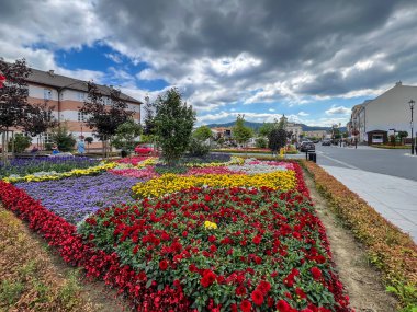 Muszyna, Polonya, 6 Ağustos 2024: Polonya 'nın bir kasabası olan Muszyna' nın sokaklarından renkli görüntüler.