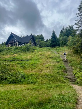 Beskid Sadecki 'deki Jaworzyna Krynicka zirvesinin altındaki dağ sığınağı..