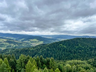 Muszyna 'nın Malnik dağındaki gözcü kulesinden Polonya' daki görüntüsü.