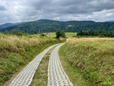 A winding narrow, paved road in the mountainous region, in the Beskid Sadecki in Poland. clipart