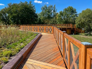 Sosnia Gora tepesindeki Silezya Botanik Parkı. Köprüler, yürüme yolları, viyadikler ve yürüyüş yolları.