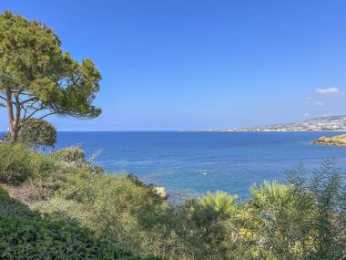 Kissonerga 'daki Akdeniz plajı, Kıbrıs' ın Paphos ilçesi.