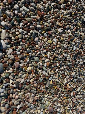 Surrounding stones lying on a rocky beach as a background. clipart