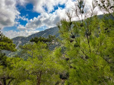 Dağ manzarası, Kıbrıs 'taki Troodos Dağları' ndaki Kykkos Manastırı alanı