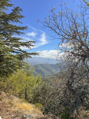 Dağ manzarası, Kıbrıs 'taki Troodos Dağları' ndaki Kykkos Manastırı alanı