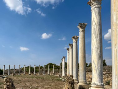 Salamis - Kıbrıs 'ta antik bir şehir ve liman, M.Ö. 7. yüzyılda adanın ana kenti. Şu anda adanın Türk kesiminde, Famagusta yakınlarında. .