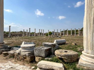 Salamis - Kıbrıs 'ta antik bir şehir ve liman, M.Ö. 7. yüzyılda adanın ana kenti. Şu anda adanın Türk kesiminde, Famagusta yakınlarında. .