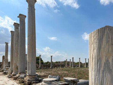 Salamis - Kıbrıs 'ta antik bir şehir ve liman, M.Ö. 7. yüzyılda adanın ana kenti. Şu anda adanın Türk kesiminde, Famagusta yakınlarında..