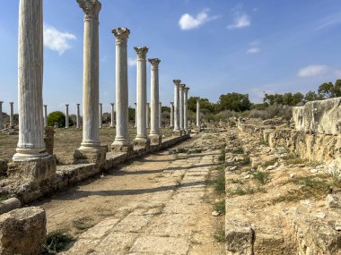 Salamis - Kıbrıs 'ta antik bir şehir ve liman, M.Ö. 7. yüzyılda adanın ana kenti. Şu anda adanın Türk kesiminde, Famagusta yakınlarında..