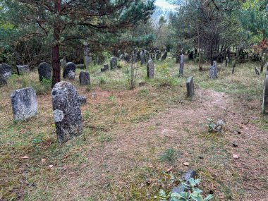 Old Jewish cemetery in Zarki, near Czestochowa in Poland. clipart