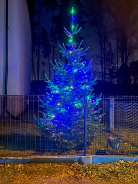 Mülkler ve binalar, Noel döneminde renkli ışıklar ve çeşitli ışıklandırmalarla süslenir..