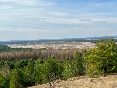Polonya 'nın Klucze kasabası yakınlarındaki Bledowska Çölü' ne Çek Cumhuriyeti bakış açısı.
