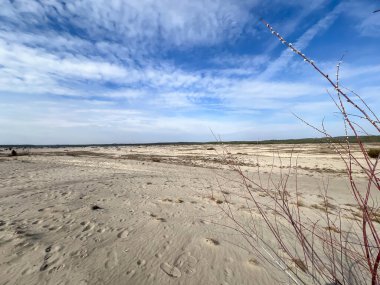 Bledowska Çölü, Güney Polonya 'nın Klucze kasabası yakınlarında bir yer. Kumlu bir çöl, turist gezilerinin yapıldığı bir yer. Willow catkins.