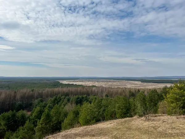 Polonya 'nın Klucze kasabası yakınlarındaki Bledowska Çölü' ne Çek Cumhuriyeti bakış açısı.