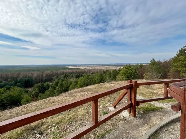 Polonya 'nın Klucze kasabası yakınlarındaki Bledowska Çölü' ne Çek Cumhuriyeti bakış açısı.