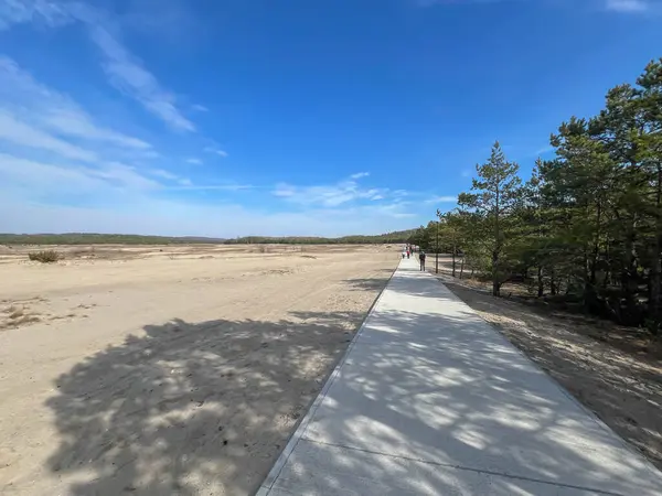 Bledowska Çölü Güney Polonya 'nın Klucze kasabası yakınlarında bir yer. Kumlu bir çöl, turist gezilerinin yapıldığı bir yer..