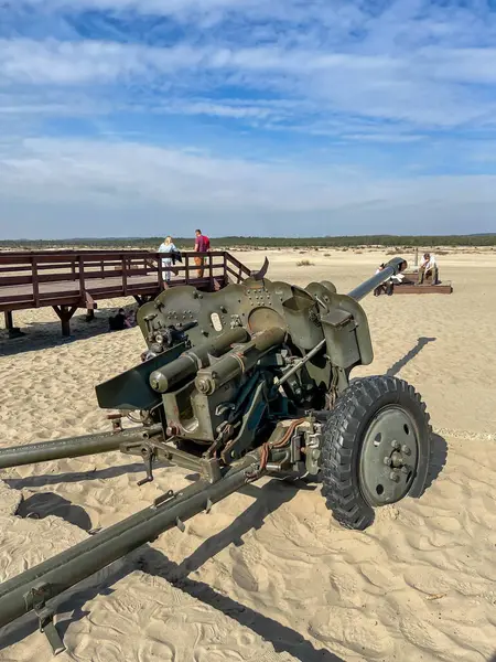 Klucze, Polonya, 9 Mart 2025: Klucze, Polonya 'da Bledowska Çölü' nde sergilenen 85 mm 'lik eski bir top.