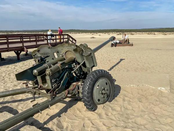 Klucze, Polonya, 9 Mart 2025: Klucze, Polonya 'da Bledowska Çölü' nde sergilenen 85 mm 'lik eski bir top.