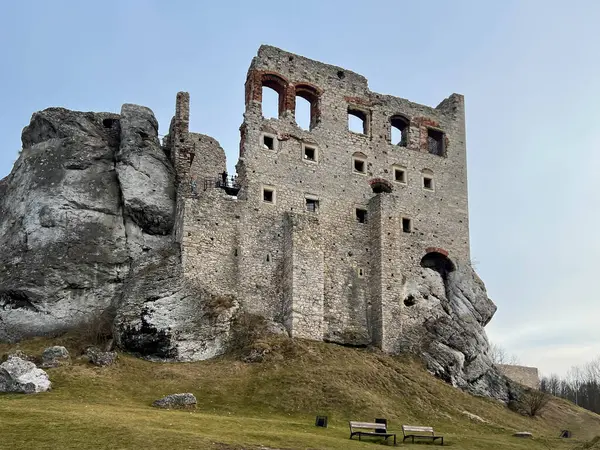 Polonya 'nın Ogrodzieniec kentindeki ortaçağ şatosunun kalıntıları.