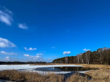Su kuşları kış mevsiminde Polonya 'nın Kalety kentindeki Zielona Barajı' nda toplandı..