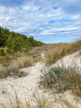 Bitki örtüsünü ve diğer doğal özellikleri korumak için Baltık kıyılarının korunan kısımları. Polonya 'da Mrzezyno çevresi.
