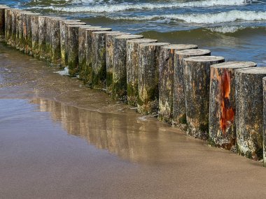 Polonya 'nın Rogowo kentindeki bir Baltık Denizi sahilindeki deniz tabanına doğru sürüklenen kazıklardan oluşan dalgalar.