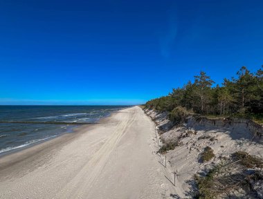 Mayıs ayında boş bir plaj, güneşli bir havada, Baltık Denizi kıyısındaki Rogowo kasabası yakınlarında..