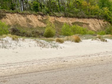 Baltık Denizi kıyılarını Trzesacz ve Mrzezyno yakınlarında iç kesimlere kaymaktan koruyan bitki ve insan aktiviteleri.