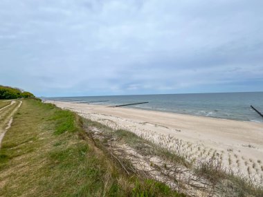 Mayıs ayı başlarında Polonya 'nın Trzesacz kenti yakınlarında boş bir Baltık plajı.