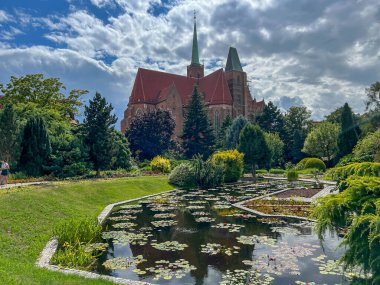 Polonya 'nın Wroclaw kentindeki Ostrow Tumski' deki Kutsal Haç ve St. Bartholomew Koleji Kilisesi botanik bahçesinden görülebiliyor..